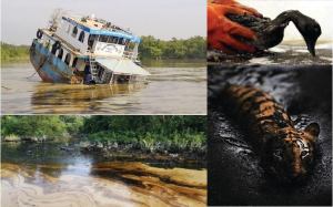 Rare animals and wild bird died by oil spill in the Sundarbans. Photo by Anup Kundus 28 Jan 2015. 